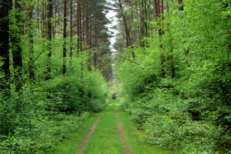NSG Kleine Schorfheide 2021-05-29 174