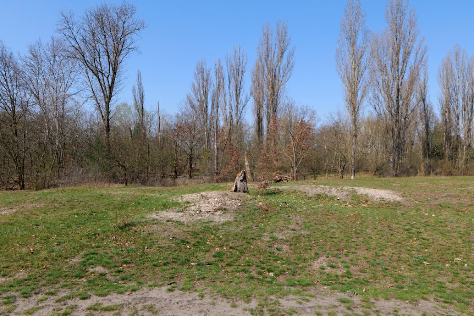NSG Biesenhorster Sand 2021-04-20 45