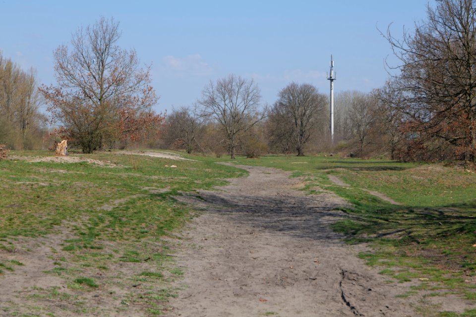 NSG Biesenhorster Sand 2021-04-20 43