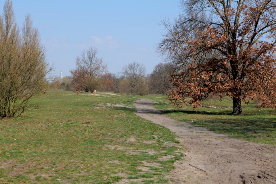 NSG Biesenhorster Sand 2021-04-20 40
