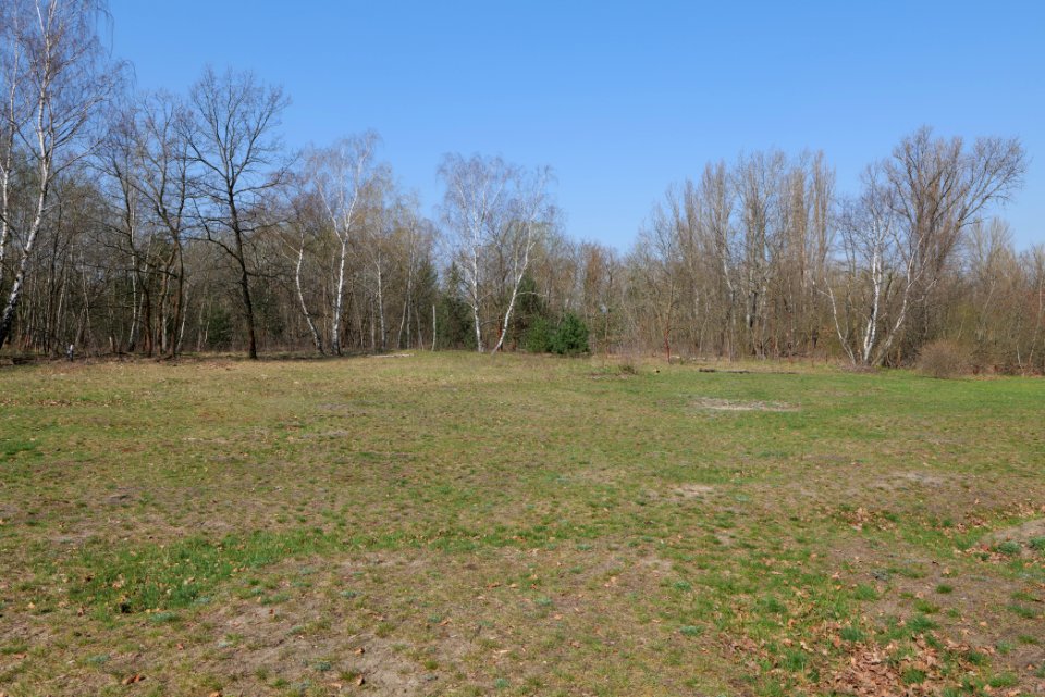 NSG Biesenhorster Sand 2021-04-20 42