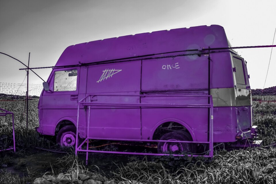 Abandoned meadow purple
