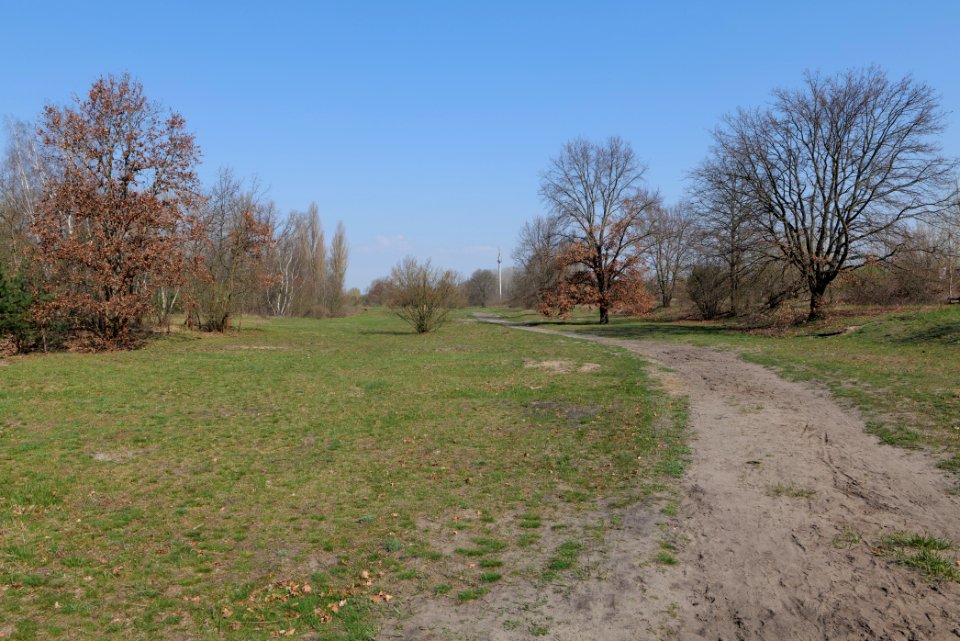 NSG Biesenhorster Sand 2021-04-20 39