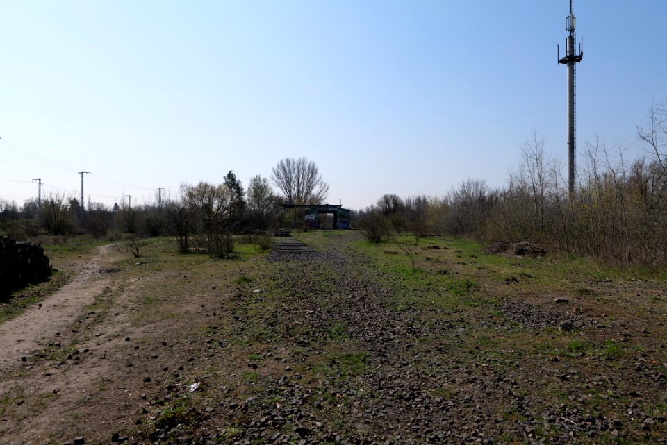 NSG Biesenhorster Sand 2021-04-20 73