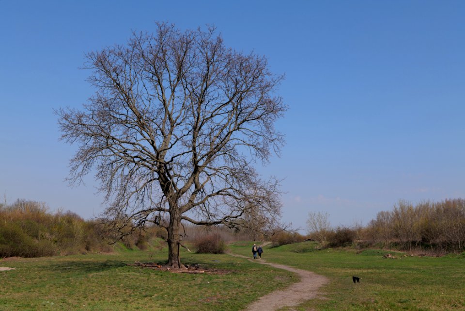 NSG Biesenhorster Sand 2021-04-20 91