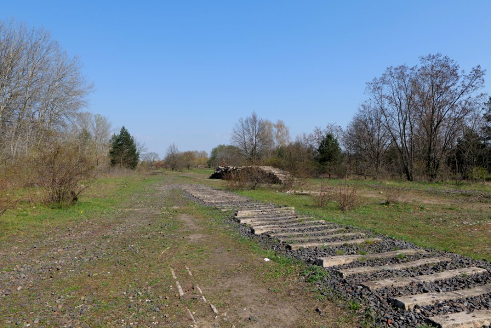 NSG Biesenhorster Sand 2021-04-20 70