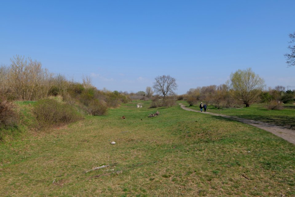 NSG Biesenhorster Sand 2021-04-20 85
