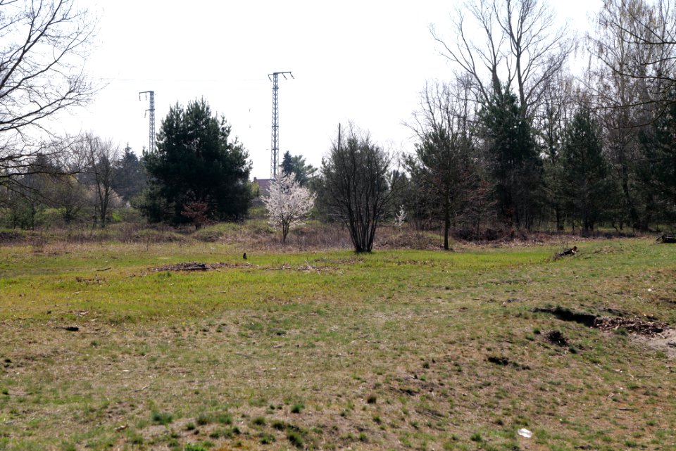 NSG Biesenhorster Sand 2021-04-20 89