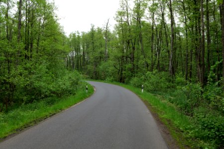 NSG Brüsenwalde 2021-05-29 03