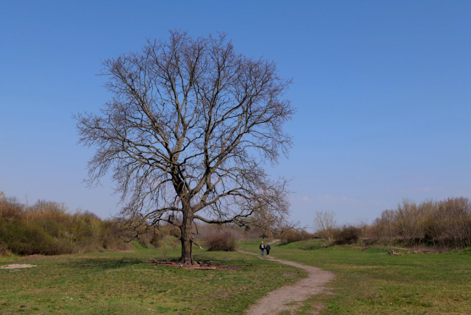 NSG Biesenhorster Sand 2021-04-20 92