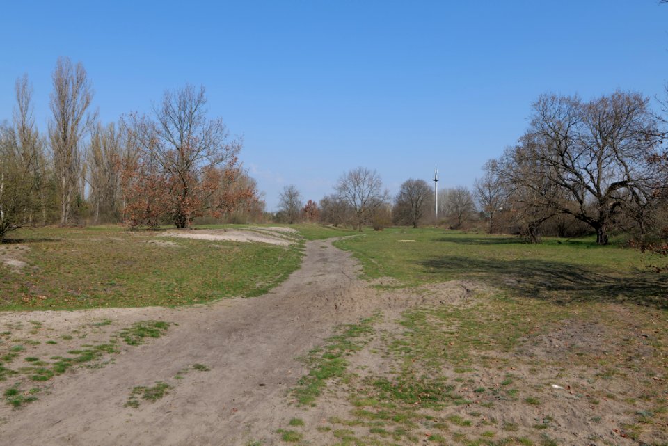 NSG Biesenhorster Sand 2021-04-20 49
