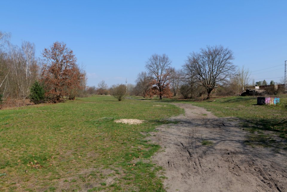 NSG Biesenhorster Sand 2021-04-20 38