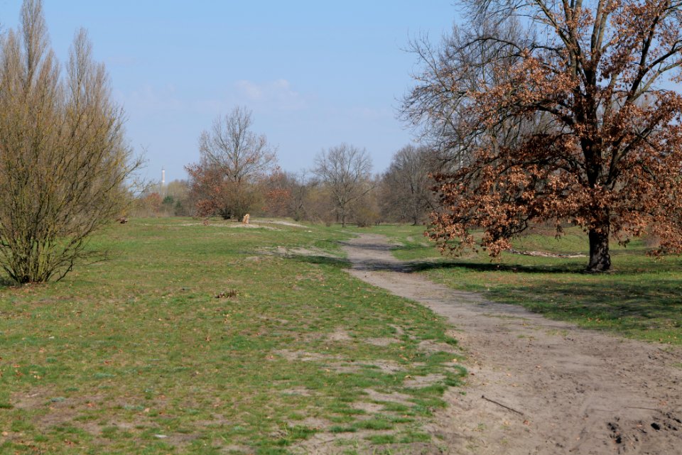 NSG Biesenhorster Sand 2021-04-20 41