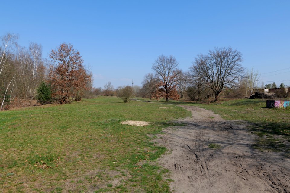 NSG Biesenhorster Sand 2021-04-20 37