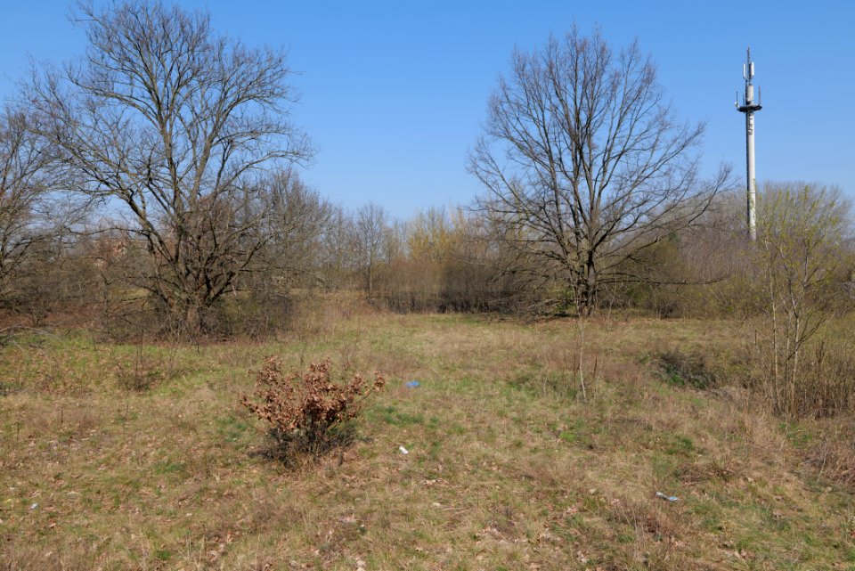 NSG Biesenhorster Sand 2021-04-20 57