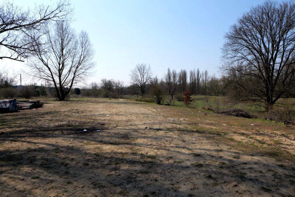 NSG Biesenhorster Sand 2021-04-20 58