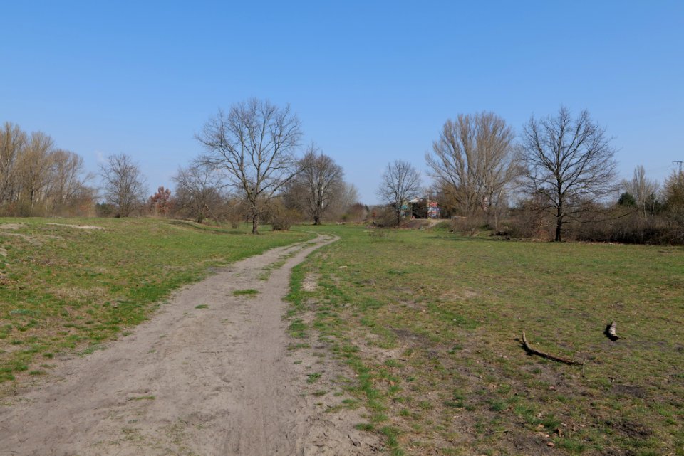 NSG Biesenhorster Sand 2021-04-20 51