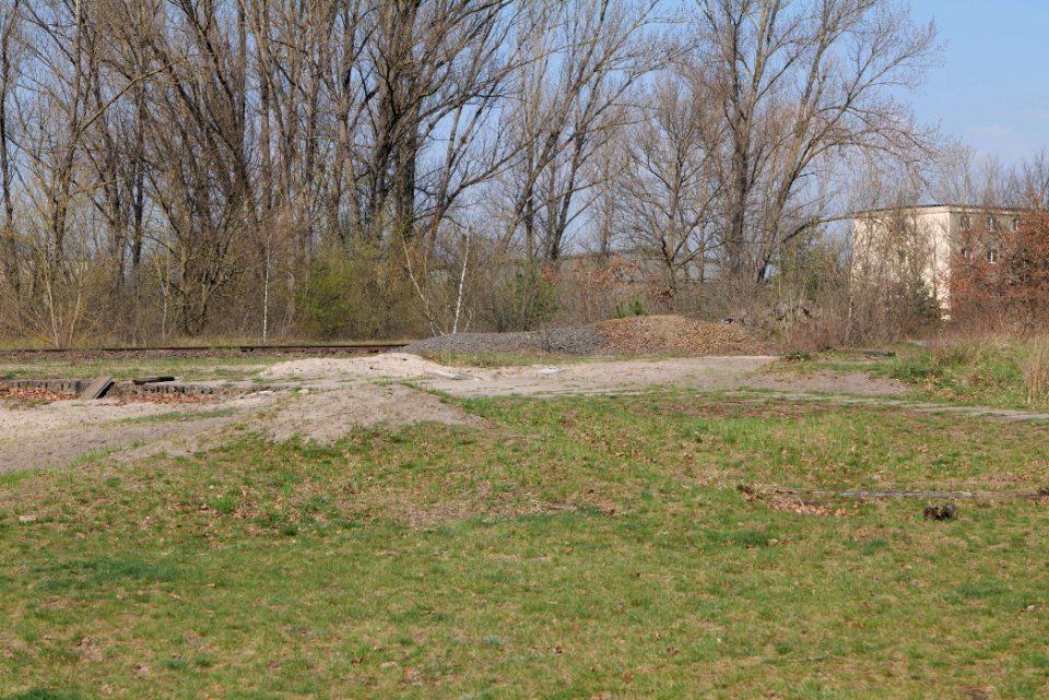NSG Biesenhorster Sand 2021-04-20 54