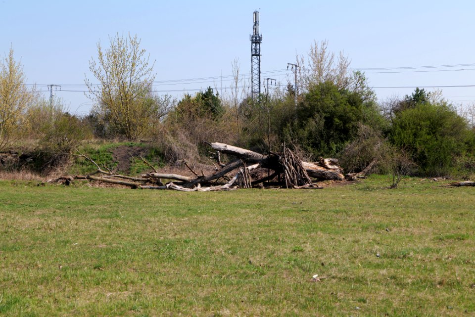 NSG Biesenhorster Sand 2021-04-20 94