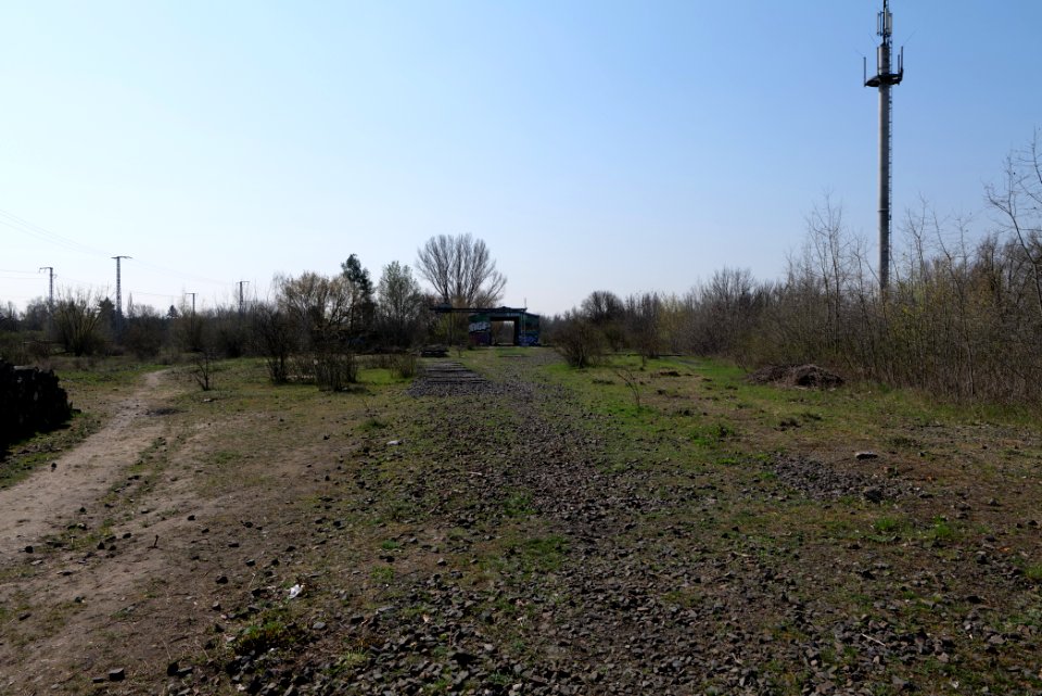 NSG Biesenhorster Sand 2021-04-20 74