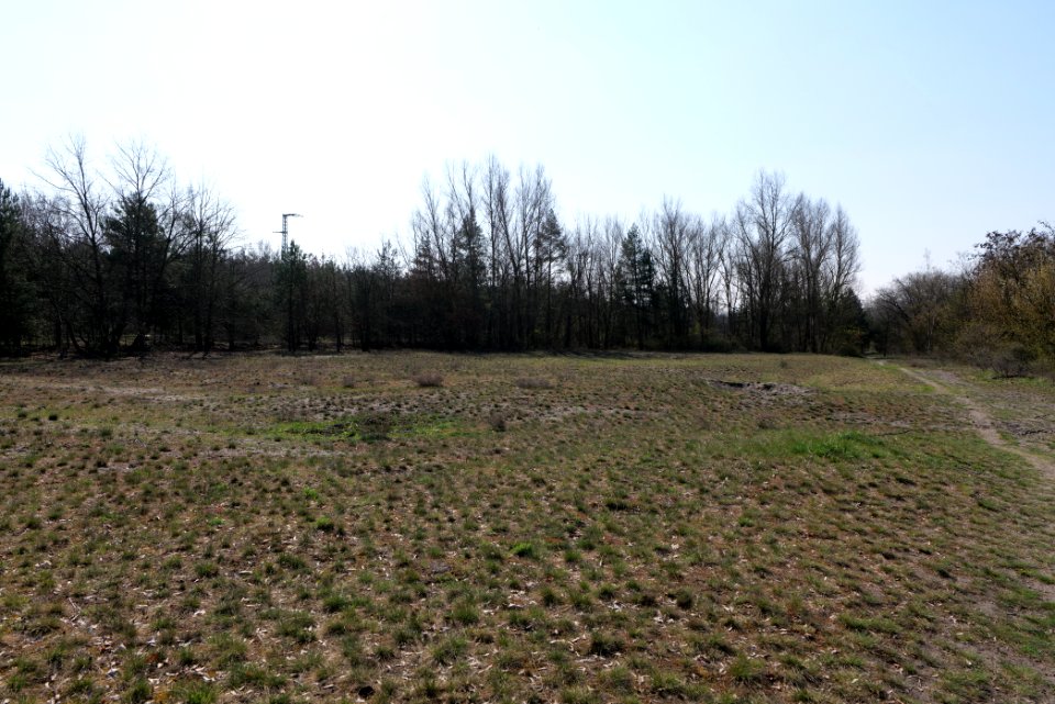 NSG Biesenhorster Sand 2021-04-20 12