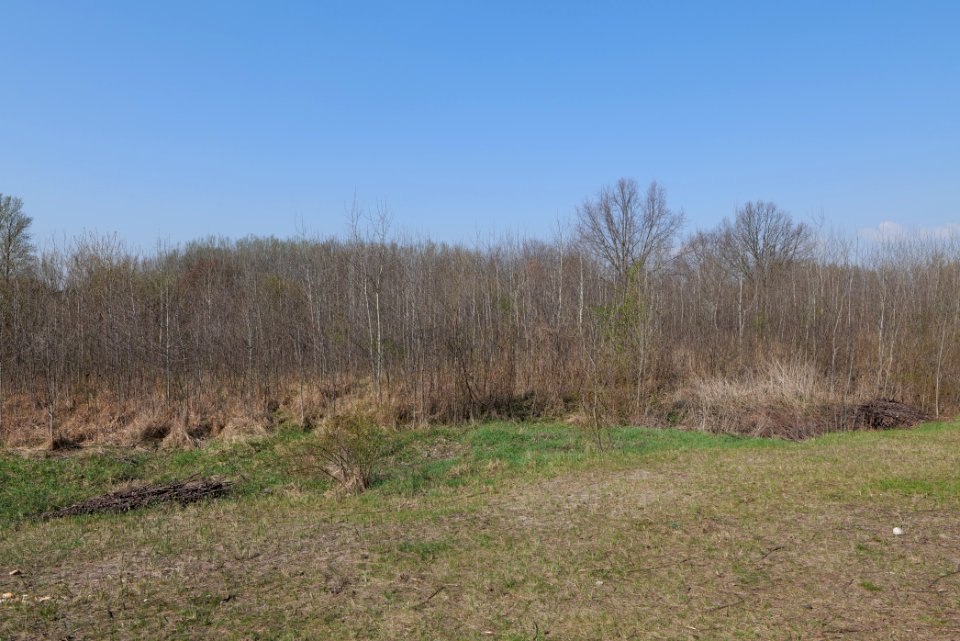 NSG Biesenhorster Sand 2021-04-20 96