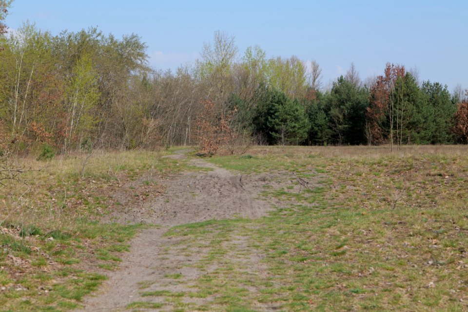 NSG Biesenhorster Sand 2021-04-20 14