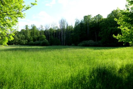 NSG Arnimswalde 2021-05-29 50