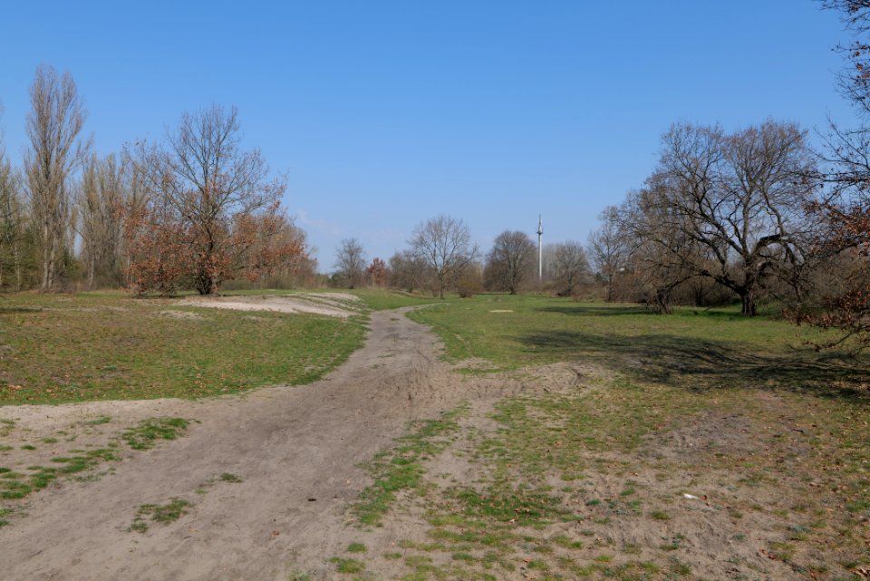 NSG Biesenhorster Sand 2021-04-20 50