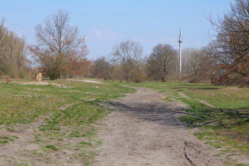 NSG Biesenhorster Sand 2021-04-20 44