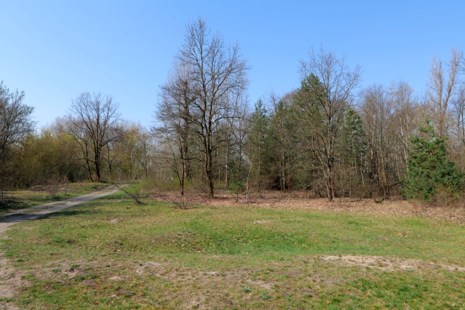 NSG Biesenhorster Sand 2021-04-20 36