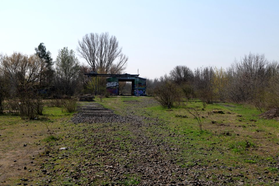 NSG Biesenhorster Sand 2021-04-20 75