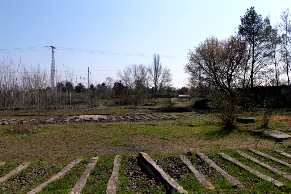NSG Biesenhorster Sand 2021-04-20 65