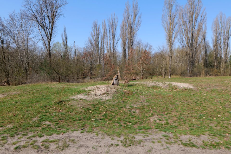 NSG Biesenhorster Sand 2021-04-20 46