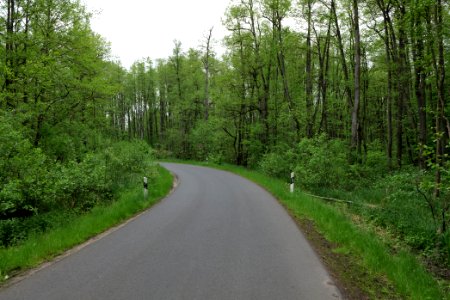 NSG Brüsenwalde 2021-05-29 04