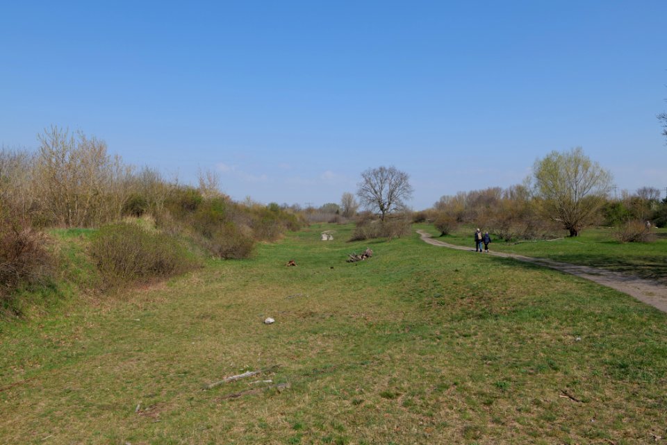 NSG Biesenhorster Sand 2021-04-20 84