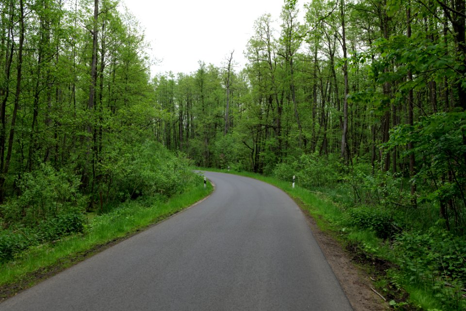 NSG Brüsenwalde 2021-05-29 02