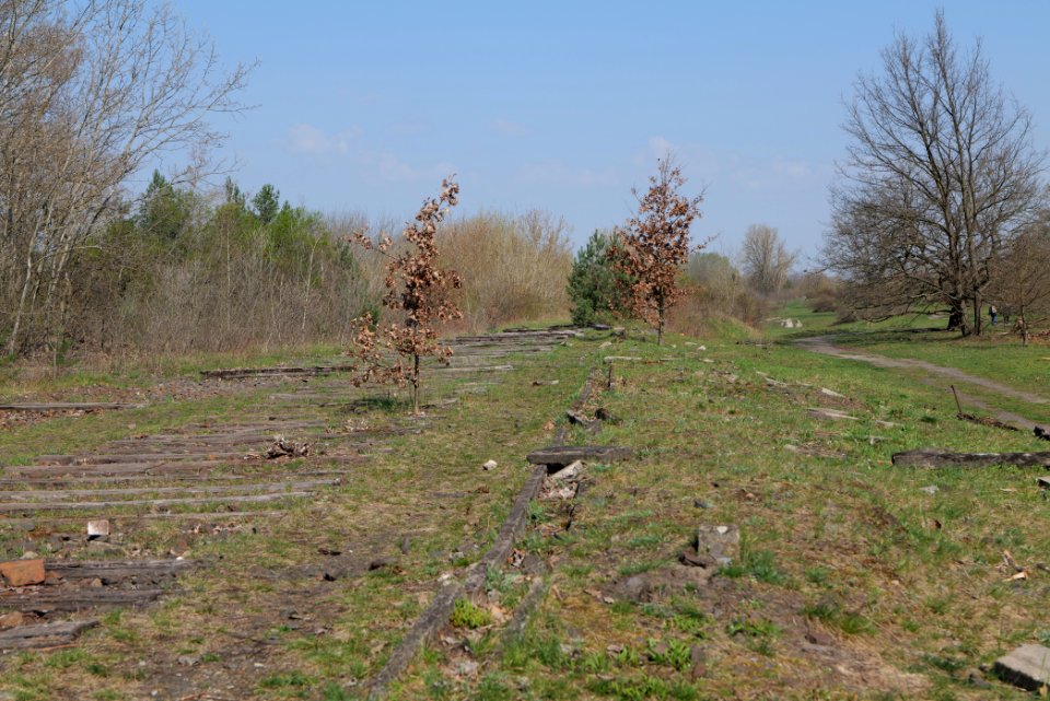 NSG Biesenhorster Sand 2021-04-20 78