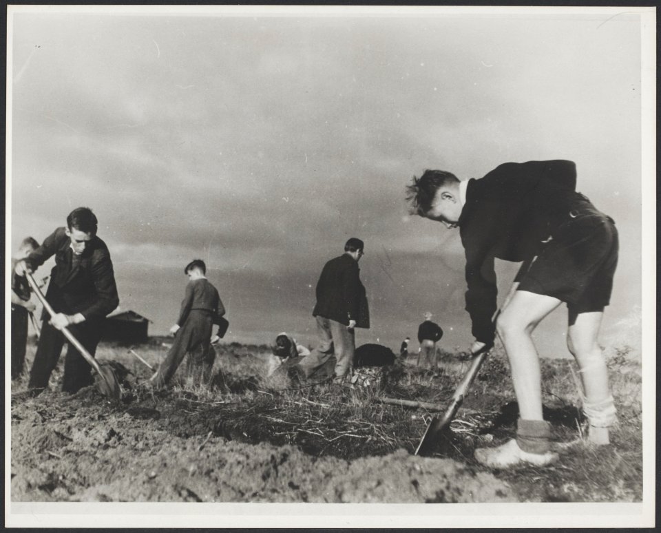 NSB kinderen spelen schaak, Bestanddeelnr 31018 035