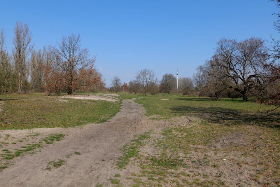 NSG Biesenhorster Sand 2021-04-20 48