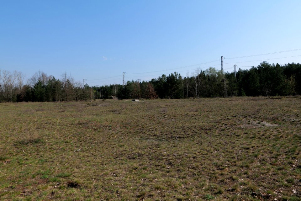 NSG Biesenhorster Sand 2021-04-20 11