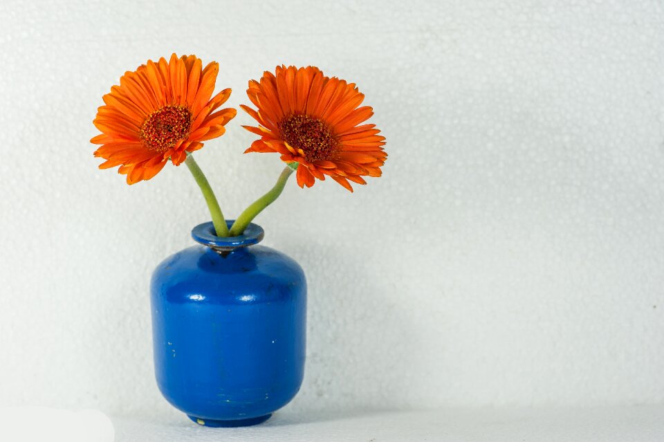 Flower vase flowers