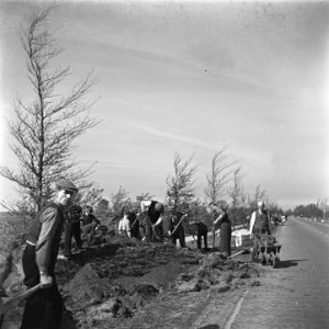 NSB-ers verrichten opruimwerkzaamheden onder toezicht van leden van de NBS (Ned…, Bestanddeelnr 900-2638 photo