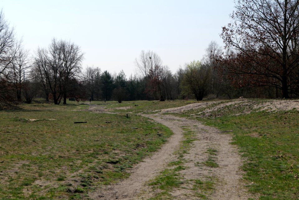 NSG Biesenhorster Sand 2021-04-20 53