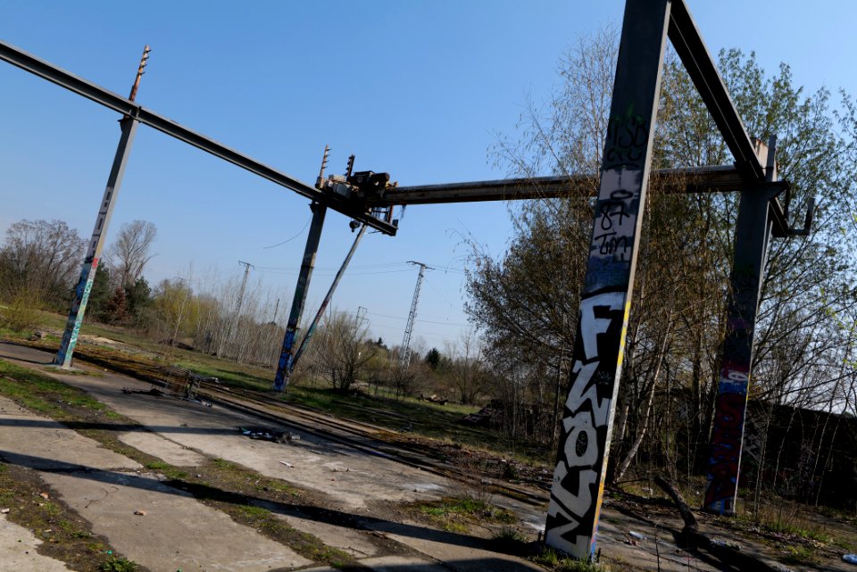 NSG Biesenhorster Sand 2021-04-20 62