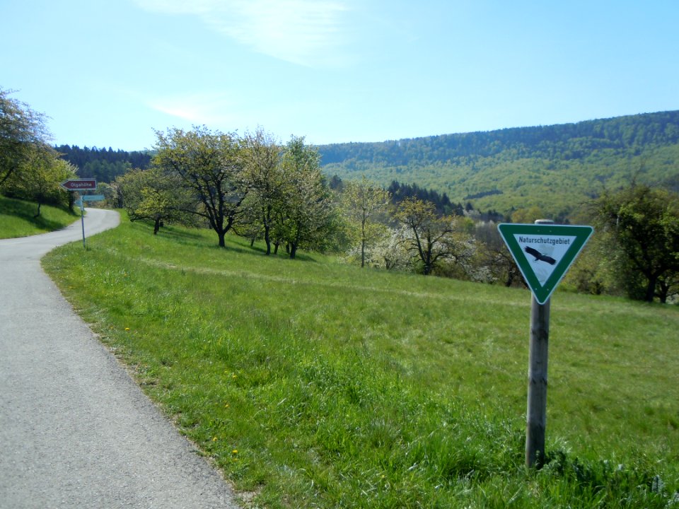 NSG Bei der Olgahoehe