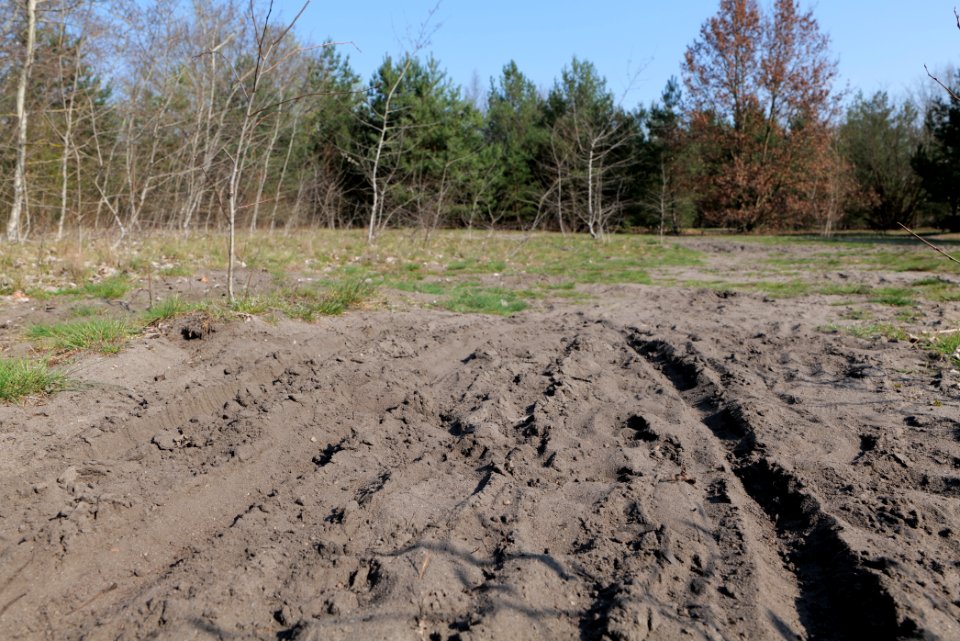 NSG Biesenhorster Sand 2021-04-20 18