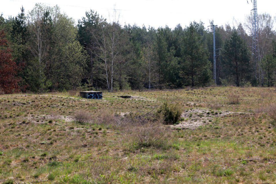 NSG Biesenhorster Sand 2021-04-20 13