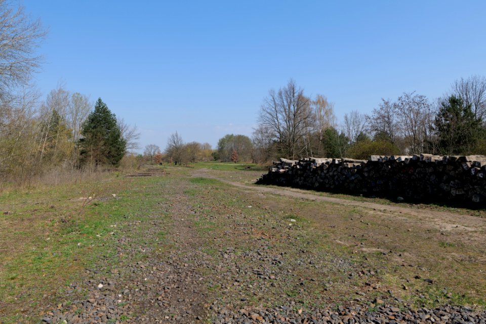 NSG Biesenhorster Sand 2021-04-20 72
