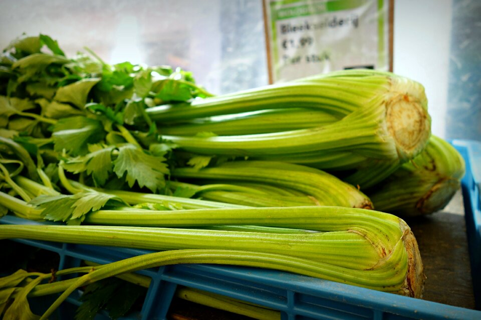 Fresh fresh vegetables apium graveolens